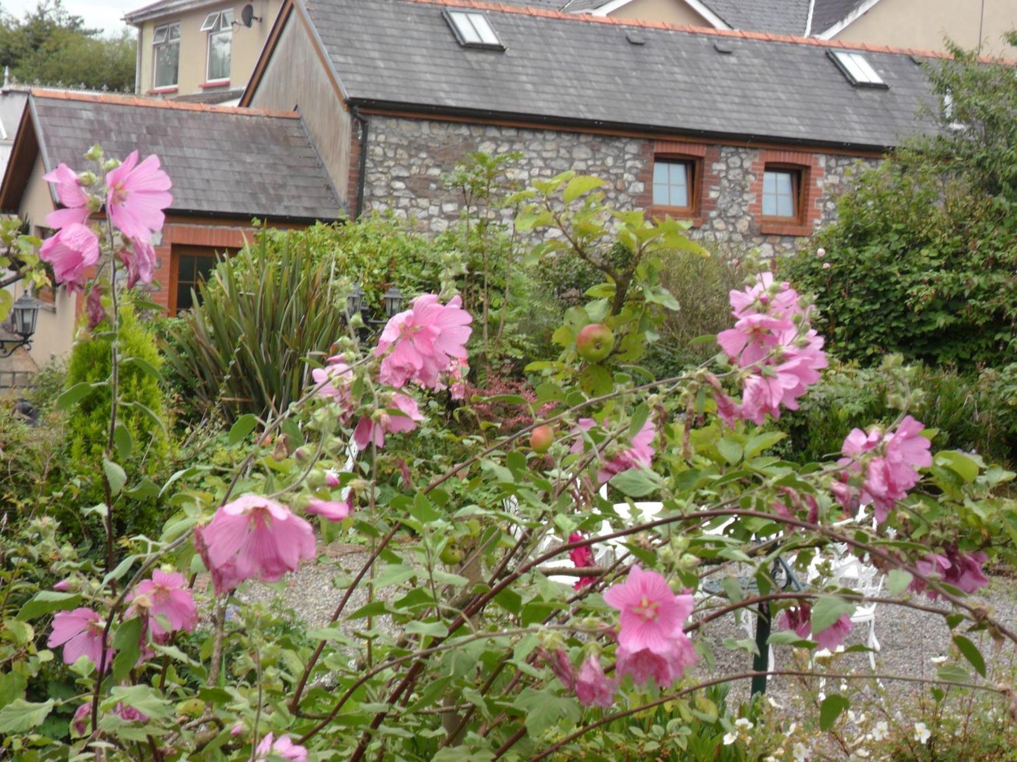 ホテル Stag Coach House Carmel エクステリア 写真